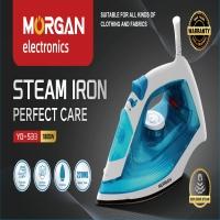 Electric Stean iron