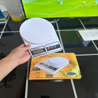 Electronic scale 