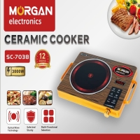 Electric Ceramic Stove