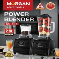 2.5L 2in1 Blender 9525 Powerful motor