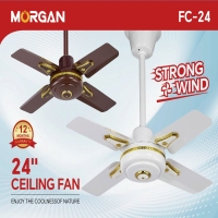 Ceiling Fan 24in