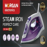 Electric Stean   iron
