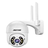 Surveillance
